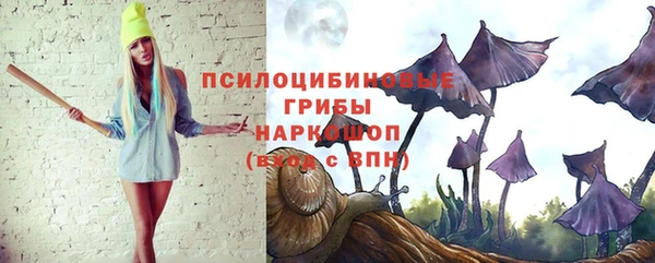 шишки Алексин
