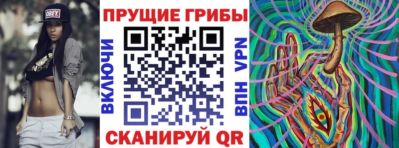 Псилоцибиновые грибы Magic Shrooms  blacksprut маркетплейс  Покров 